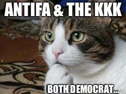 Ponder cat | ANTIFA & THE KKK BOTH DEMOCRAT... | image tagged in ponder cat | made w/ Imgflip meme maker