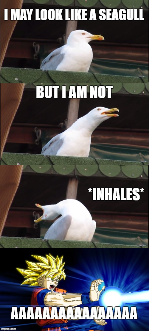 Inhaling Seagull | I MAY LOOK LIKE A SEAGULL; BUT I AM NOT; *INHALES*; AAAAAAAAAAAAAAAA | image tagged in memes,inhaling seagull | made w/ Imgflip meme maker