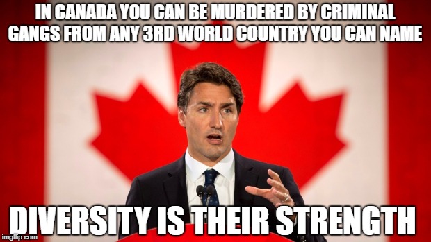 Diversity is divisive | IN CANADA YOU CAN BE MURDERED BY CRIMINAL GANGS FROM ANY 3RD WORLD COUNTRY YOU CAN NAME; DIVERSITY IS THEIR STRENGTH | image tagged in justin trudeau,stupid liberals,liberalism is a mental disorder,gangs,diversity | made w/ Imgflip meme maker