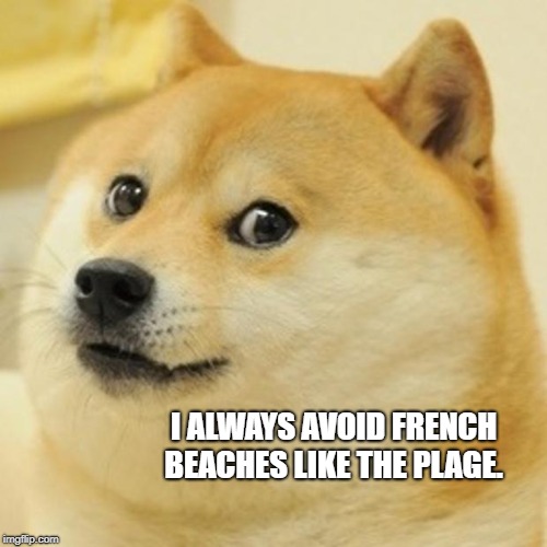 Doge Meme | I ALWAYS AVOID FRENCH BEACHES LIKE THE PLAGE. | image tagged in memes,doge | made w/ Imgflip meme maker
