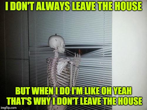 Skeleton Looking Out Window | I DON'T ALWAYS LEAVE THE HOUSE; BUT WHEN I DO I'M LIKE OH YEAH THAT'S WHY I DON'T LEAVE THE HOUSE | image tagged in skeleton looking out window | made w/ Imgflip meme maker