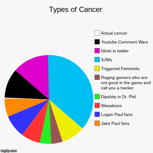 Types of Cancer | Jake Paul fans, Logan Paul fans, Weeaboos, Dipshits in Dr. Phil, Raging gamers who are not good in the game and call you a | image tagged in funny,pie charts | made w/ Imgflip chart maker
