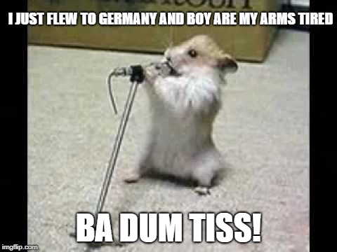 I JUST FLEW TO GERMANY AND BOY ARE MY ARMS TIRED BA DUM TISS! | image tagged in hamster | made w/ Imgflip meme maker