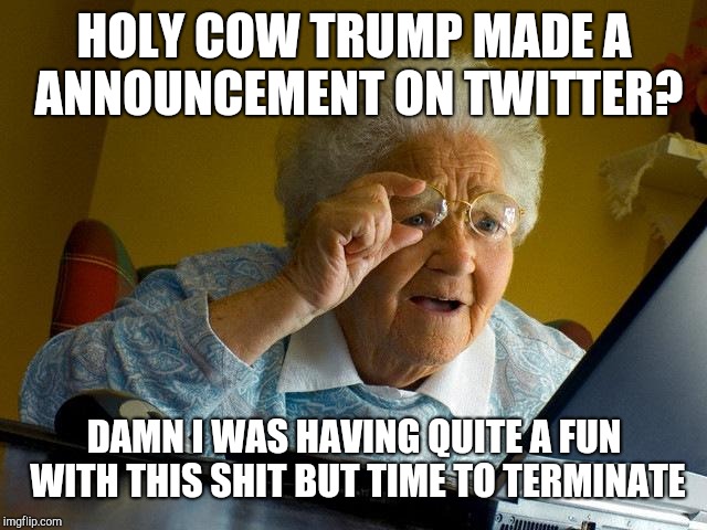 Grandma Finds The Internet | HOLY COW TRUMP MADE A ANNOUNCEMENT ON TWITTER? DAMN I WAS HAVING QUITE A FUN WITH THIS SHIT BUT TIME TO TERMINATE | image tagged in memes,grandma finds the internet | made w/ Imgflip meme maker