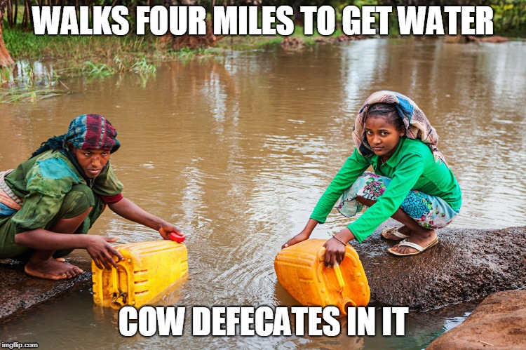 WALKS FOUR MILES TO GET WATER; COW DEFECATES IN IT | image tagged in depressing | made w/ Imgflip meme maker