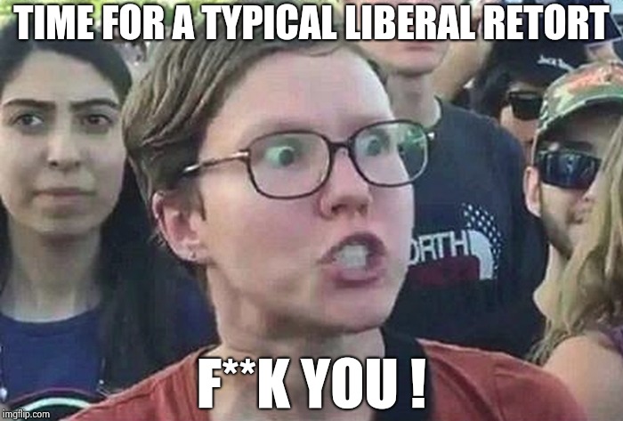 Triggered Liberal | TIME FOR A TYPICAL LIBERAL RETORT F**K YOU ! | image tagged in triggered liberal | made w/ Imgflip meme maker