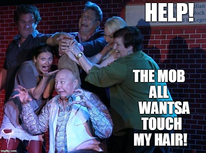 People Have Fun Torturing Me | HELP! THE MOB ALL     WANTSA  TOUCH MY HAIR! | image tagged in vince vance,zombies,don't touch my hair,follicles,tall hair dude,angry mob | made w/ Imgflip meme maker