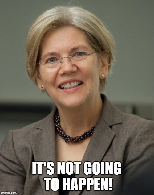 Elizabeth Warren | IT'S NOT GOING TO HAPPEN! | image tagged in elizabeth warren | made w/ Imgflip meme maker