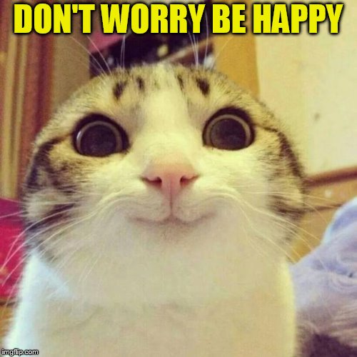 Smiling Cat Meme | DON'T WORRY BE HAPPY | image tagged in memes,smiling cat | made w/ Imgflip meme maker