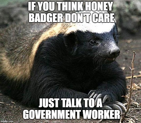 Honey badger | IF YOU THINK HONEY BADGER DON'T CARE; JUST TALK TO A GOVERNMENT WORKER | image tagged in honey badger | made w/ Imgflip meme maker