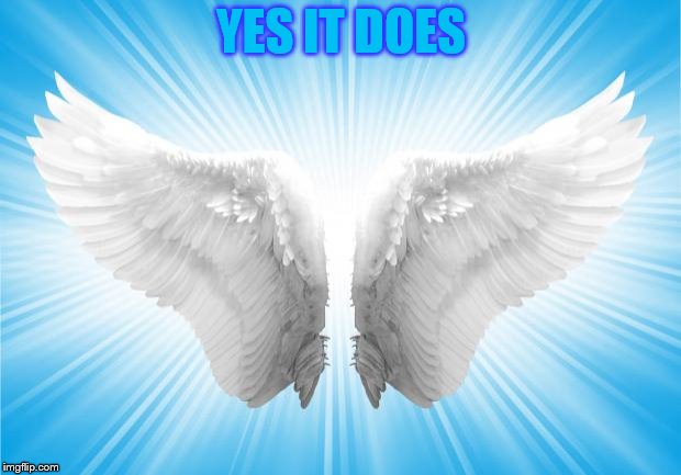 Angels | YES IT DOES | image tagged in angels | made w/ Imgflip meme maker