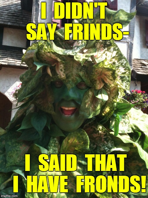 I  DIDN'T  SAY  FRINDS- I  SAID  THAT  I  HAVE  FRONDS! | made w/ Imgflip meme maker