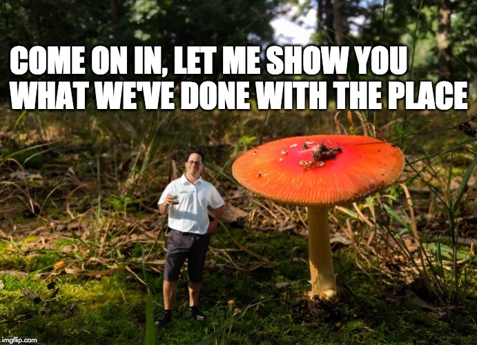 Posted Image