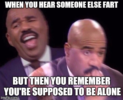 Steve Harvey Laughing Serious | WHEN YOU HEAR SOMEONE ELSE FART; BUT THEN YOU REMEMBER YOU'RE SUPPOSED TO BE ALONE | image tagged in steve harvey laughing serious | made w/ Imgflip meme maker