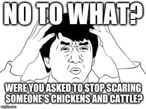 Jackie Chan WTF Meme | NO TO WHAT? WERE YOU ASKED TO STOP SCARING SOMEONE'S CHICKENS AND CATTLE? | image tagged in memes,jackie chan wtf | made w/ Imgflip meme maker