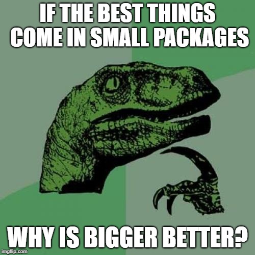 Philosoraptor Meme | IF THE BEST THINGS COME IN SMALL PACKAGES; WHY IS BIGGER BETTER? | image tagged in memes,philosoraptor | made w/ Imgflip meme maker