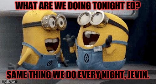 Excited Minions | WHAT ARE WE DOING TONIGHT ED? SAME THING WE DO EVERY NIGHT, JEVIN. | image tagged in memes,excited minions | made w/ Imgflip meme maker
