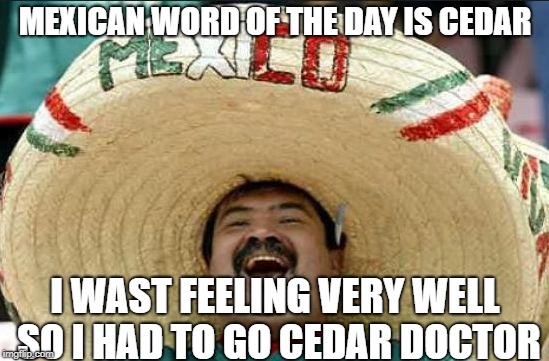 mexican word of the day | MEXICAN WORD OF THE DAY IS CEDAR; I WAST FEELING VERY WELL SO I HAD TO GO CEDAR DOCTOR | image tagged in mexican word of the day | made w/ Imgflip meme maker