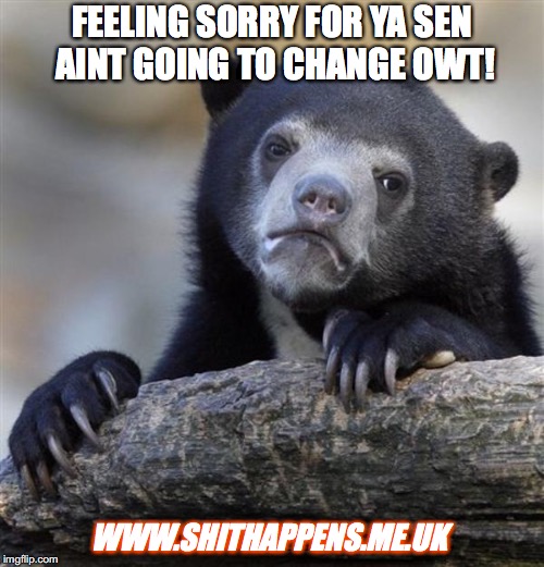 sad bear | FEELING SORRY FOR YA SEN AINT GOING TO CHANGE OWT! WWW.SHITHAPPENS.ME.UK | image tagged in sad bear | made w/ Imgflip meme maker