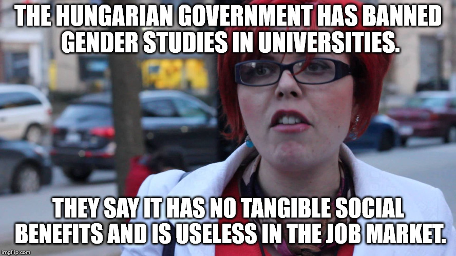 More governments should ban useless programs and save students money. | THE HUNGARIAN GOVERNMENT HAS BANNED GENDER STUDIES IN UNIVERSITIES. THEY SAY IT HAS NO TANGIBLE SOCIAL BENEFITS AND IS USELESS IN THE JOB MARKET. | image tagged in trigger intensifies | made w/ Imgflip meme maker
