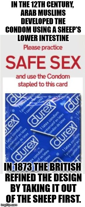 Leave it up to the Brits to improve upon an idea. | IN THE 12TH CENTURY, ARAB MUSLIMS DEVELOPED THE CONDOM USING A SHEEP'S LOWER INTESTINE; IN 1873 THE BRITISH REFINED THE DESIGN BY TAKING IT OUT OF THE SHEEP FIRST. | image tagged in memes,condom | made w/ Imgflip meme maker