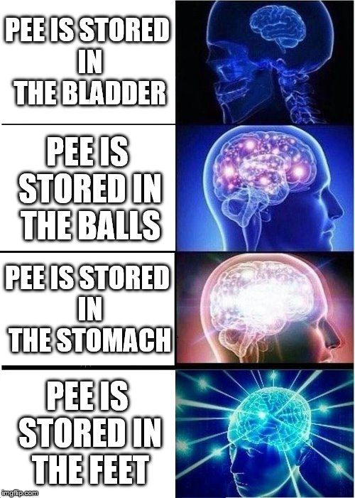 Expanding Brain Meme | PEE IS STORED IN THE BLADDER; PEE IS STORED IN THE BALLS; PEE IS STORED IN THE STOMACH; PEE IS STORED IN THE FEET | image tagged in memes,expanding brain | made w/ Imgflip meme maker