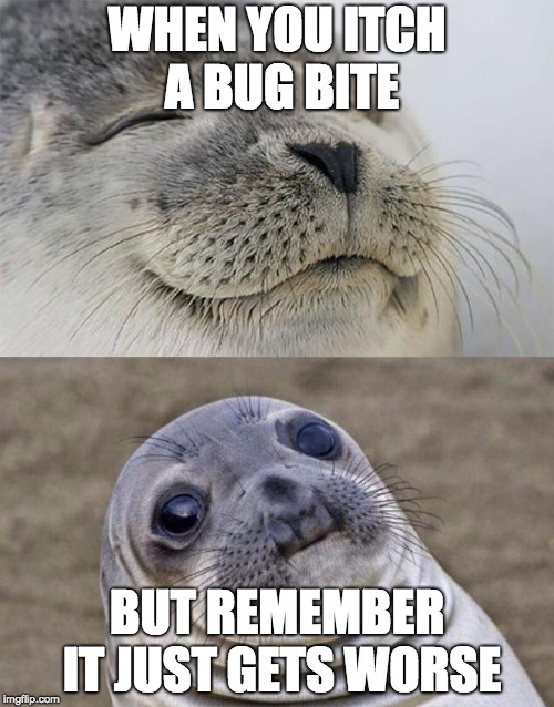 Short Satisfaction VS Truth Meme | WHEN YOU ITCH A BUG BITE; BUT REMEMBER IT JUST GETS WORSE | image tagged in memes,short satisfaction vs truth | made w/ Imgflip meme maker