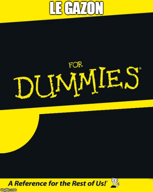 For Dummies | LE GAZON | image tagged in for dummies | made w/ Imgflip meme maker