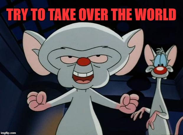 Try to take over the world | TRY TO TAKE OVER THE WORLD | image tagged in pinky and the brain,memes | made w/ Imgflip meme maker