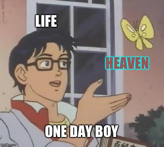 Is This A Pigeon | LIFE; HEAVEN; ONE DAY BOY | image tagged in memes,is this a pigeon | made w/ Imgflip meme maker
