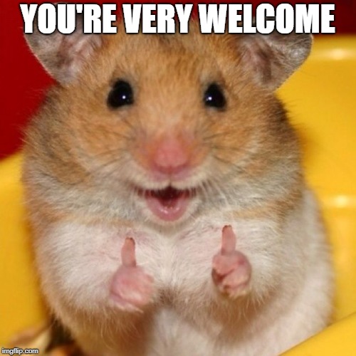 thumbs up | YOU'RE VERY WELCOME | image tagged in thumbs up | made w/ Imgflip meme maker