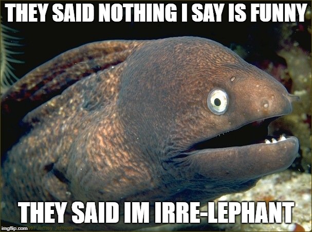 bad joke eel | THEY SAID NOTHING I SAY IS FUNNY; THEY SAID IM IRRE-LEPHANT | image tagged in bad joke eel | made w/ Imgflip meme maker