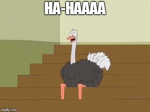 Laughing Ostrich | HA-HAAAA | image tagged in funny | made w/ Imgflip meme maker