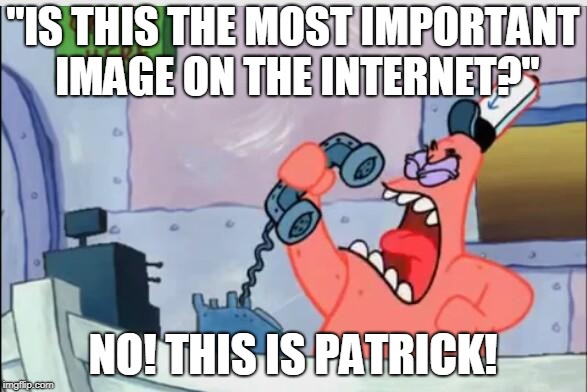 NO THIS IS PATRICK | "IS THIS THE MOST IMPORTANT IMAGE ON THE INTERNET?" NO! THIS IS PATRICK! | image tagged in no this is patrick | made w/ Imgflip meme maker