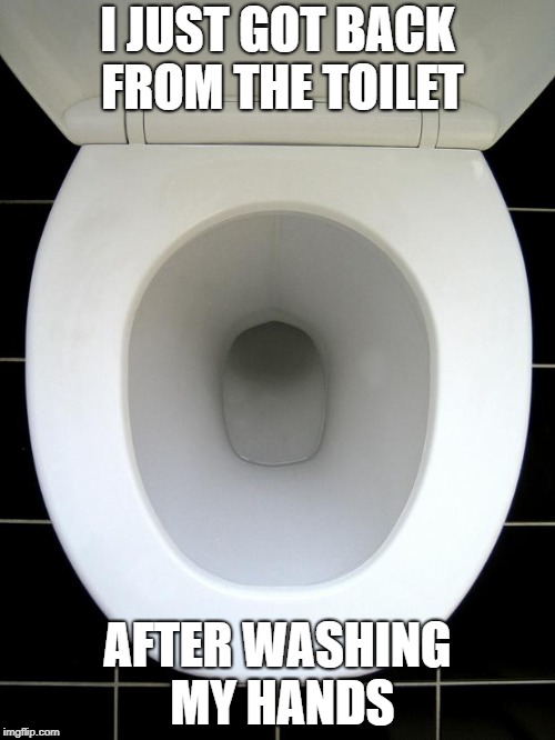 TOILET | I JUST GOT BACK FROM THE TOILET; AFTER WASHING MY HANDS | image tagged in toilet | made w/ Imgflip meme maker