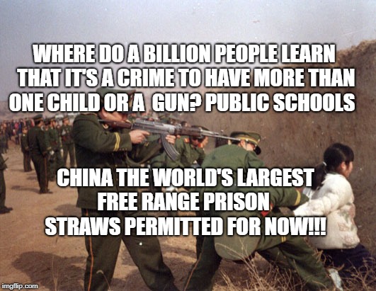 China Gun Control | WHERE DO A BILLION PEOPLE LEARN THAT IT'S A CRIME TO HAVE MORE THAN ONE CHILD OR A  GUN? PUBLIC SCHOOLS; CHINA THE WORLD'S LARGEST FREE RANGE PRISON 
 STRAWS PERMITTED FOR NOW!!! | image tagged in china gun control | made w/ Imgflip meme maker