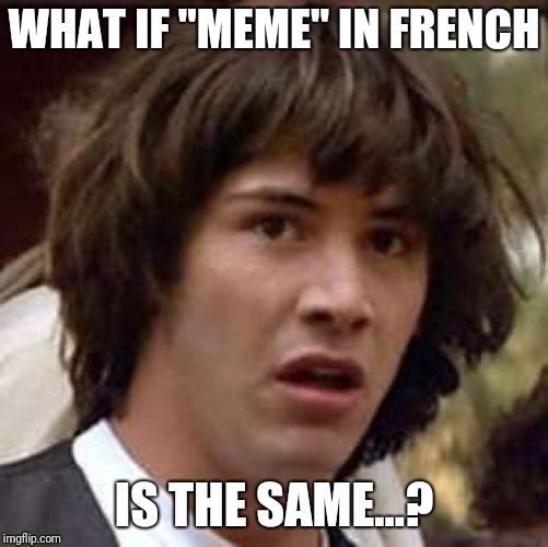 Conspiracy Keanu | WHAT IF "MEME" IN FRENCH; IS THE SAME...? | image tagged in memes,conspiracy keanu | made w/ Imgflip meme maker