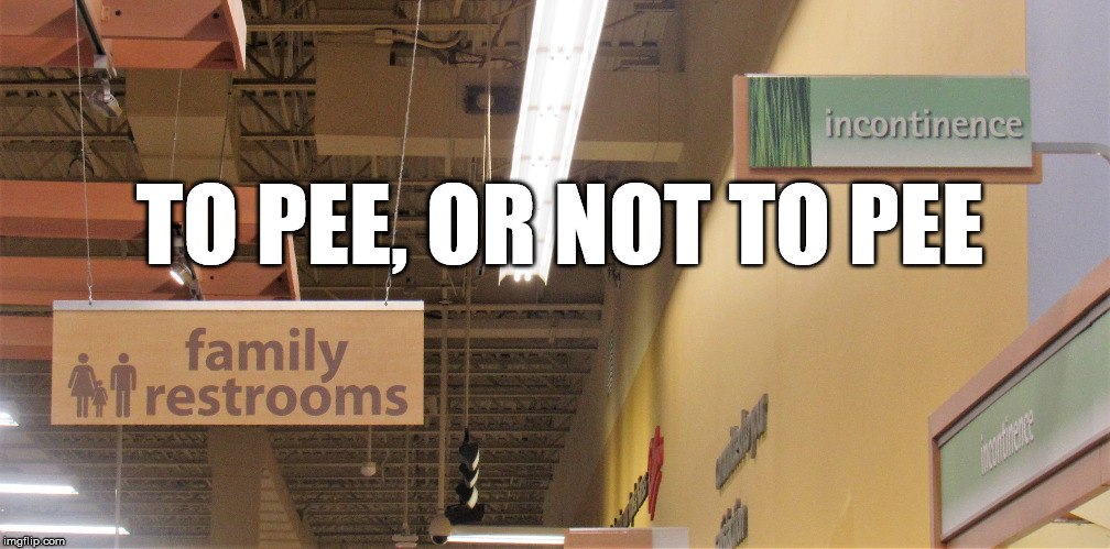 Cathy Bitikofer | TO PEE, OR NOT TO PEE | image tagged in cathy bitikofer | made w/ Imgflip meme maker