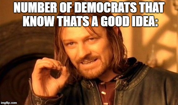One Does Not Simply Meme | NUMBER OF DEMOCRATS THAT KNOW THATS A GOOD IDEA: | image tagged in memes,one does not simply | made w/ Imgflip meme maker