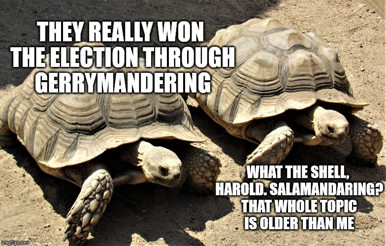 Two tortoises | THEY REALLY WON THE ELECTION THROUGH GERRYMANDERING WHAT THE SHELL, HAROLD. SALAMANDARING? THAT WHOLE TOPIC IS OLDER THAN ME | image tagged in two tortoises | made w/ Imgflip meme maker