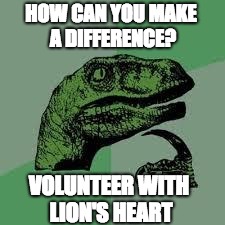 Dinosaur | HOW CAN YOU MAKE A DIFFERENCE? VOLUNTEER WITH LION'S HEART | image tagged in dinosaur | made w/ Imgflip meme maker