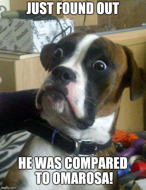 Blankie the Shocked Dog | JUST FOUND OUT; HE WAS COMPARED TO OMAROSA! | image tagged in blankie the shocked dog | made w/ Imgflip meme maker