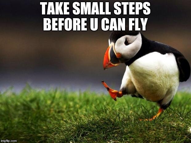 Bird Wisdom | TAKE SMALL STEPS BEFORE U CAN FLY | image tagged in memes,wisdom | made w/ Imgflip meme maker