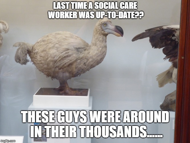 meme | LAST TIME A SOCIAL CARE WORKER WAS UP-TO-DATE?? THESE GUYS WERE AROUND IN THEIR THOUSANDS...... | image tagged in socially awesome awkward penguin | made w/ Imgflip meme maker