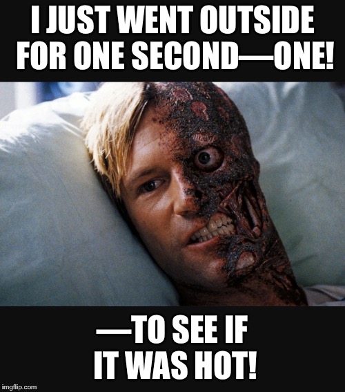 Two face | I JUST WENT OUTSIDE FOR ONE SECOND—ONE! —TO SEE IF IT WAS HOT! | image tagged in two face | made w/ Imgflip meme maker
