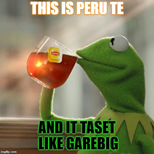 But That's None Of My Business | THIS IS PERU TE; AND IT TASET LIKE GAREBIG | image tagged in memes,but thats none of my business,kermit the frog | made w/ Imgflip meme maker