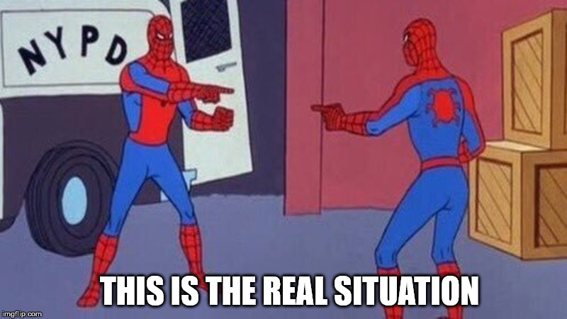 spiderman pointing at spiderman | THIS IS THE REAL SITUATION | image tagged in spiderman pointing at spiderman | made w/ Imgflip meme maker