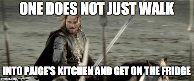 Aragon  | ONE DOES NOT JUST WALK; INTO PAIGE'S KITCHEN AND GET ON THE FRIDGE | image tagged in aragon | made w/ Imgflip meme maker