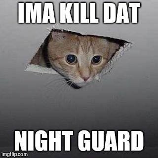 Ceiling Cat | IMA KILL DAT; NIGHT GUARD | image tagged in memes,ceiling cat | made w/ Imgflip meme maker
