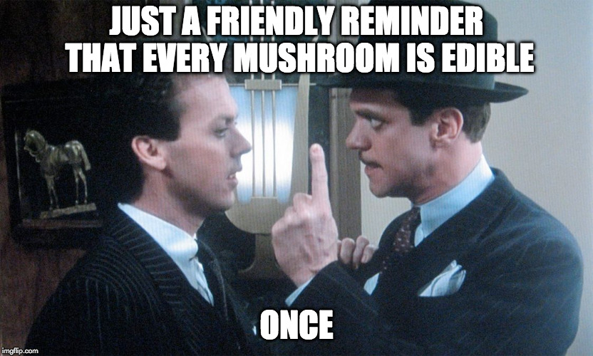 Johnny Dangerously | JUST A FRIENDLY REMINDER THAT EVERY MUSHROOM IS EDIBLE; ONCE | image tagged in johnny dangerously | made w/ Imgflip meme maker